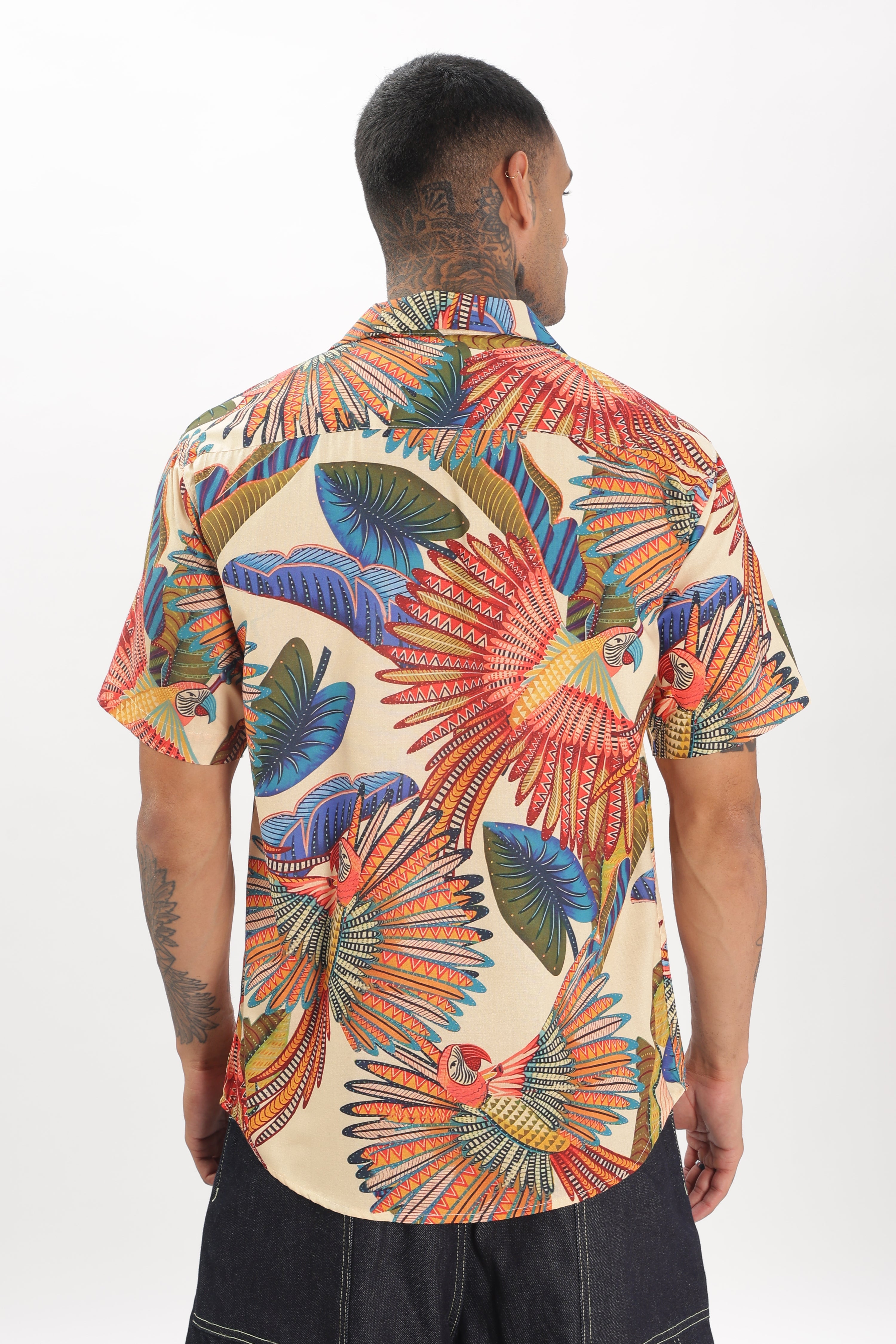 Artistry parrot