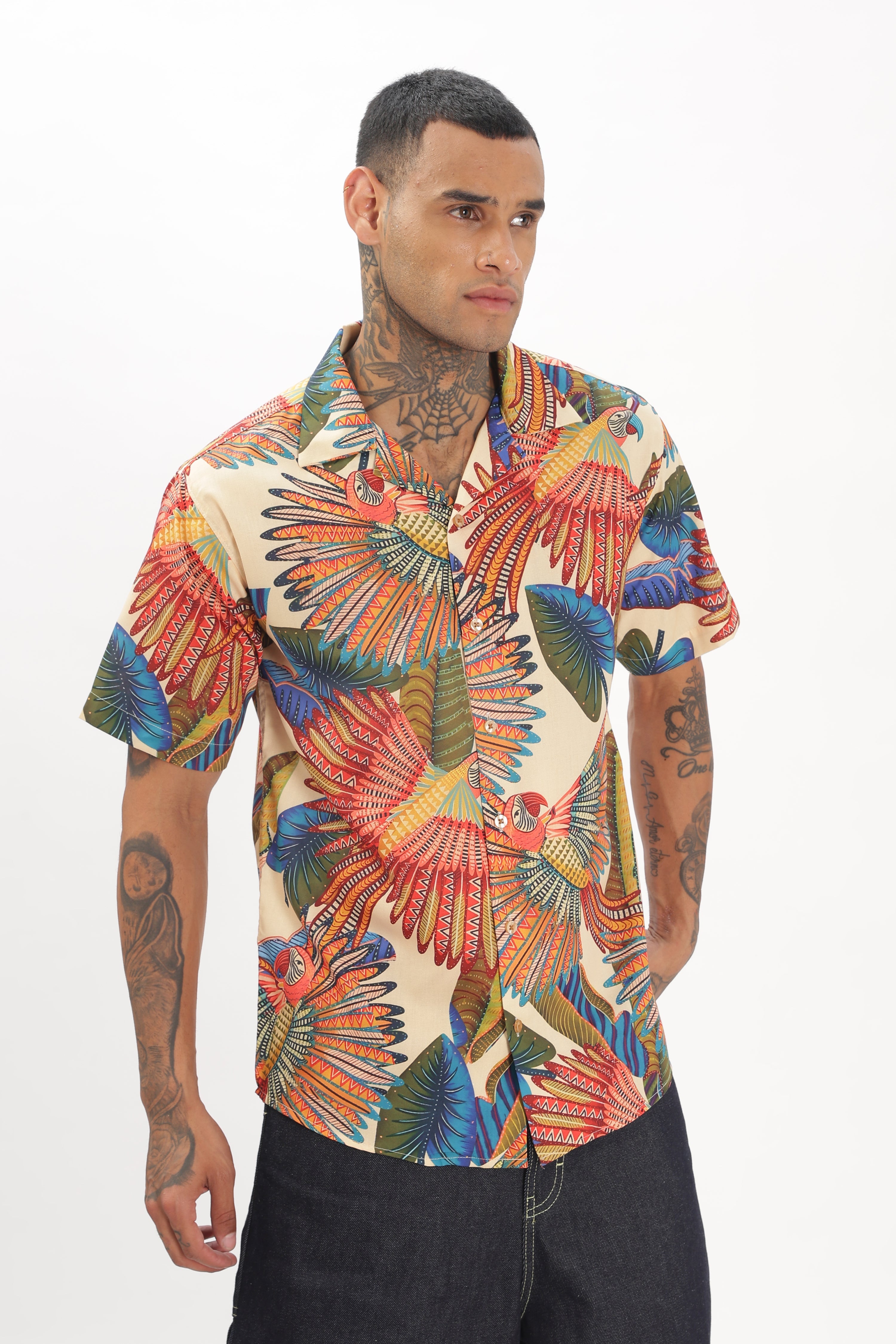 Artistry parrot