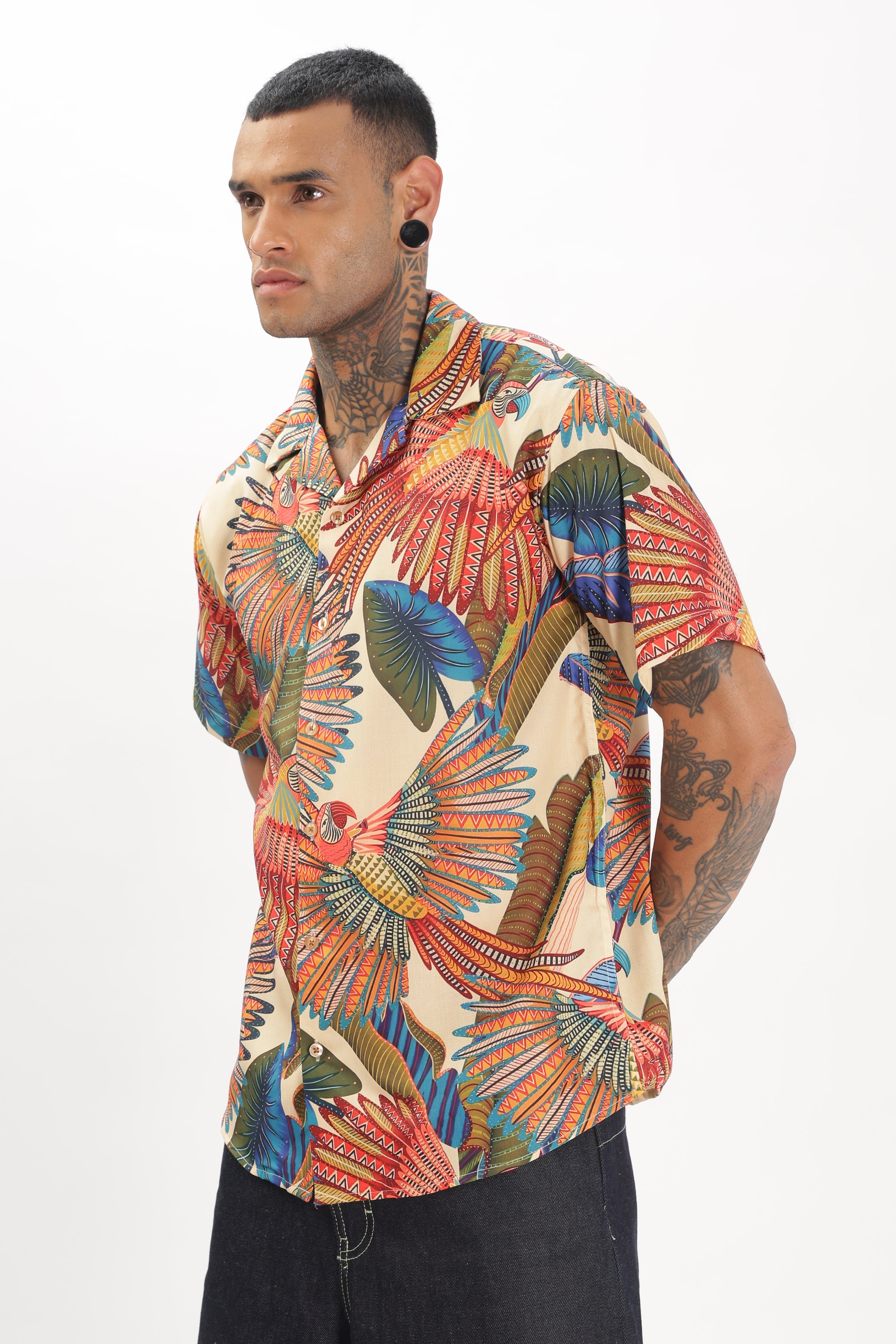 Artistry parrot