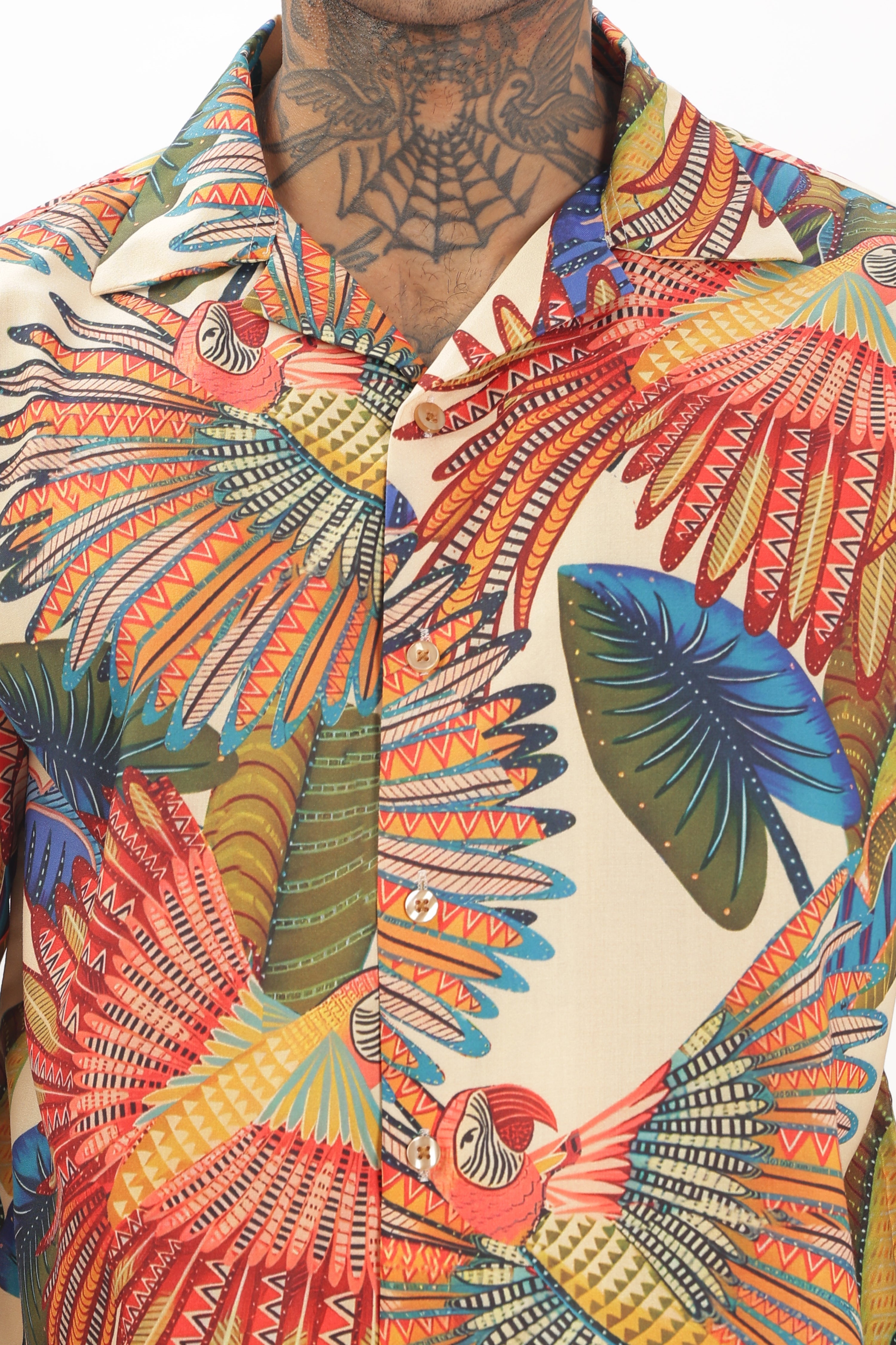 Artistry parrot
