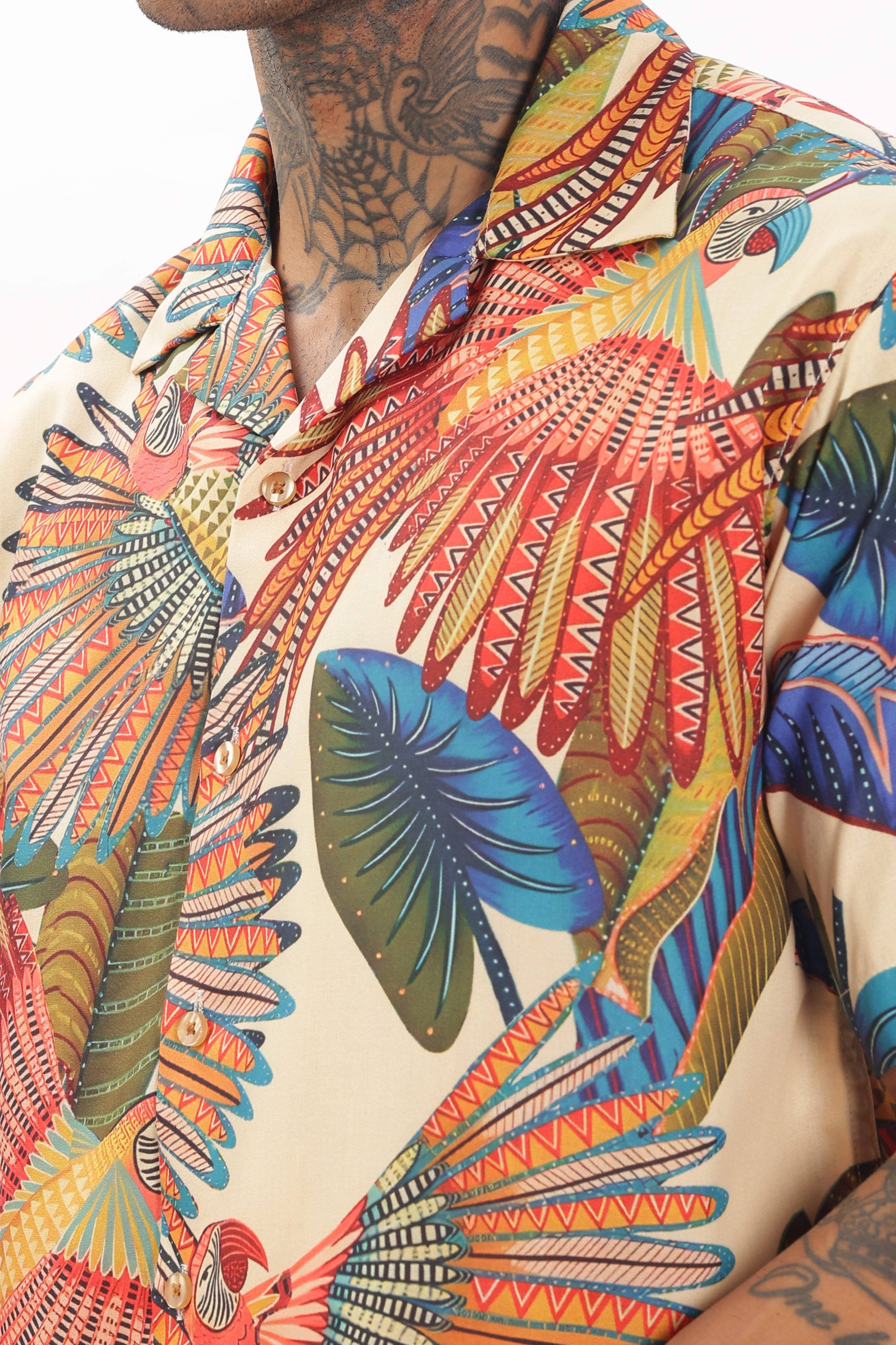 Artistry parrot