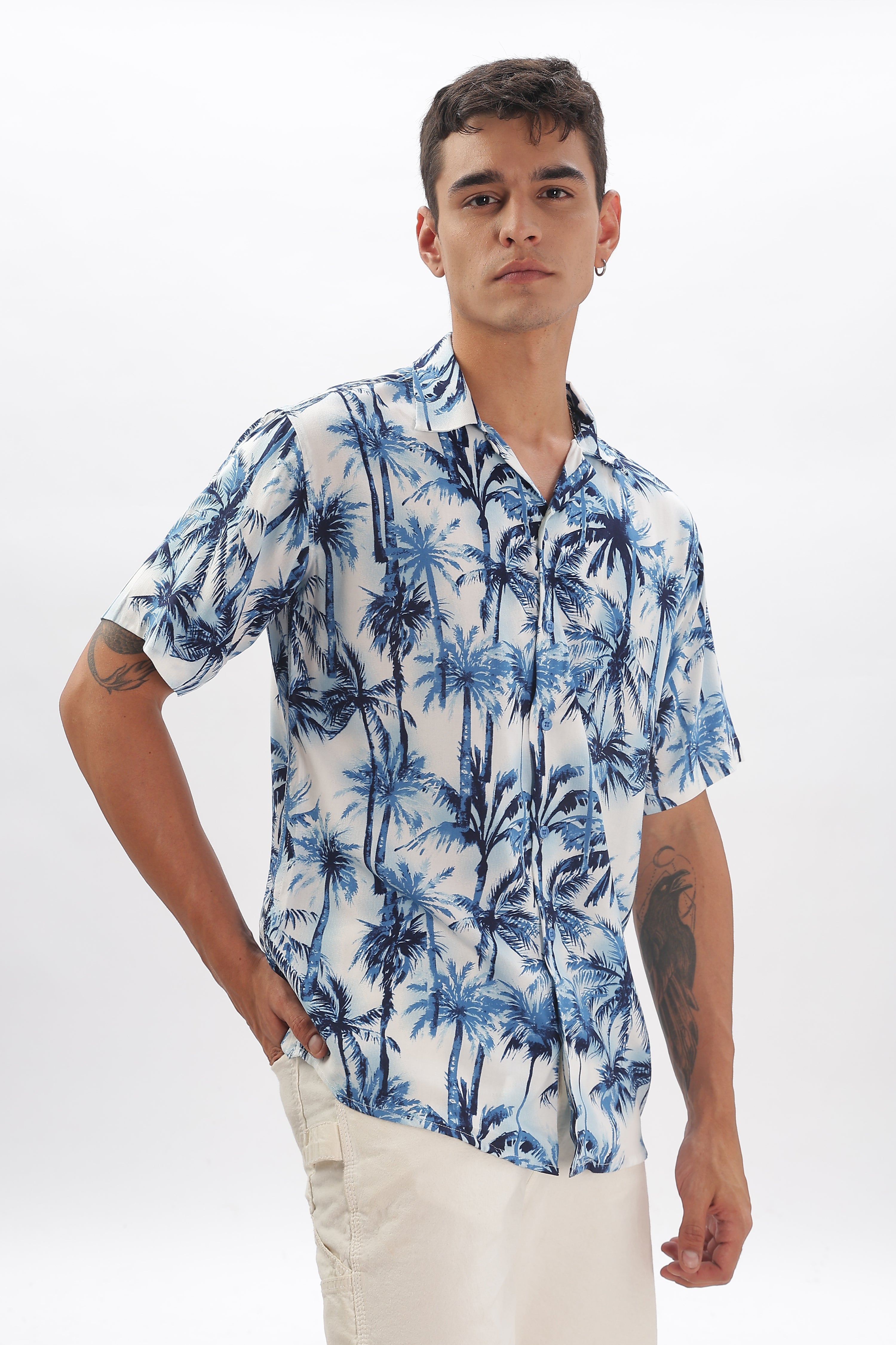 Bluish palm