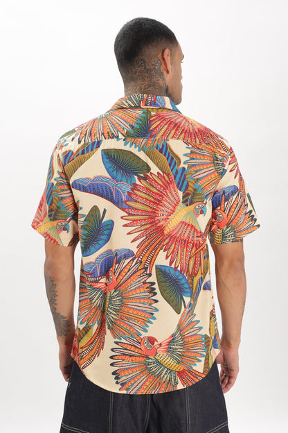 Artistry parrot