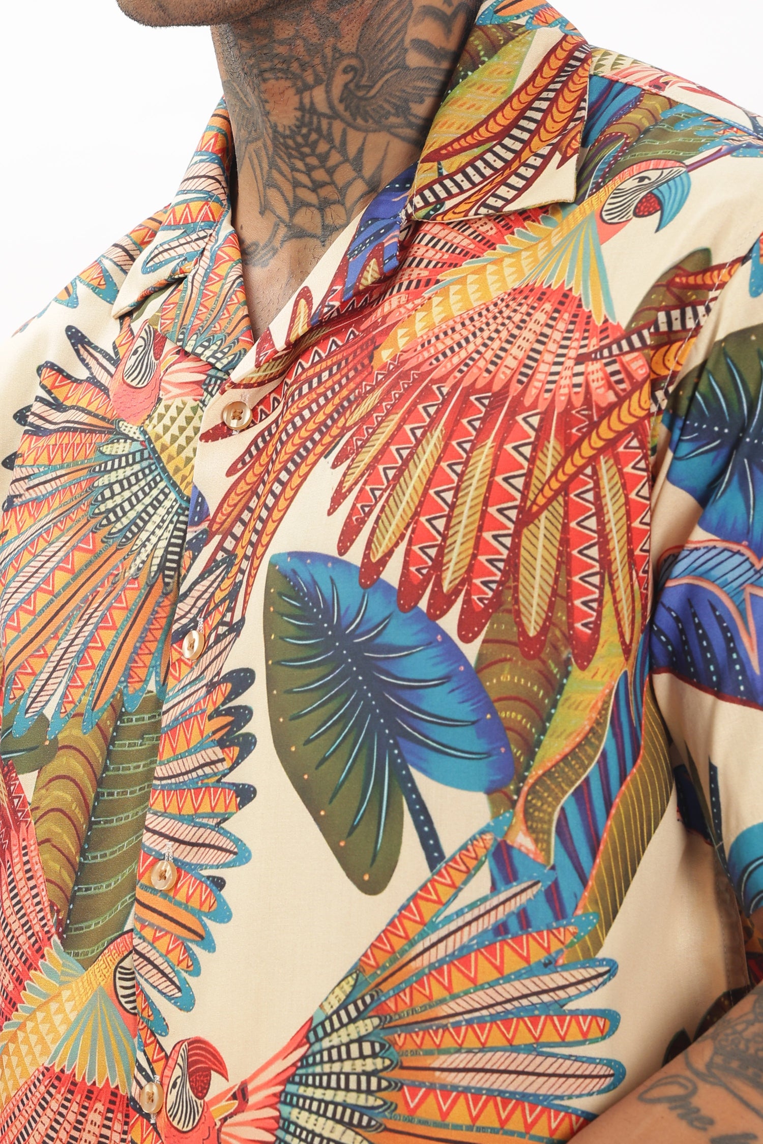 Artistry parrot